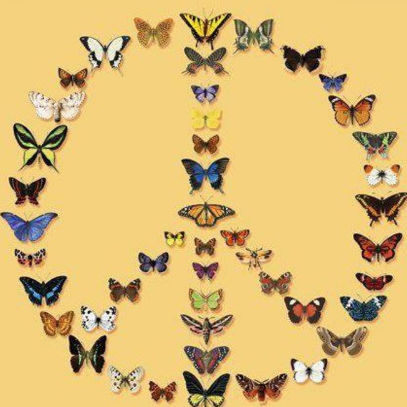 🍄• hippiebutterfly • 🦋 - Picture 4 of 5